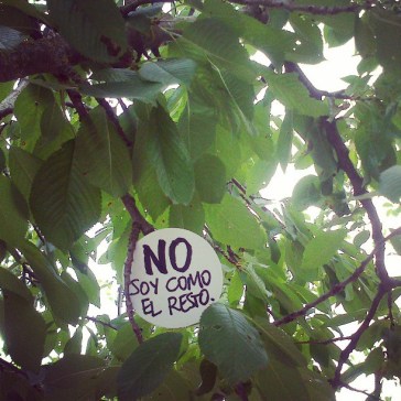 Pic from instagram.com/raulanton